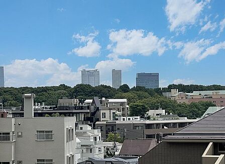 季節の彩りを映す木々の向こうに、都会の風景が静かに溶け込む景色を望めます。都市の躍動と自然の安らぎ、その両方を感じられる贅沢な眺めです。