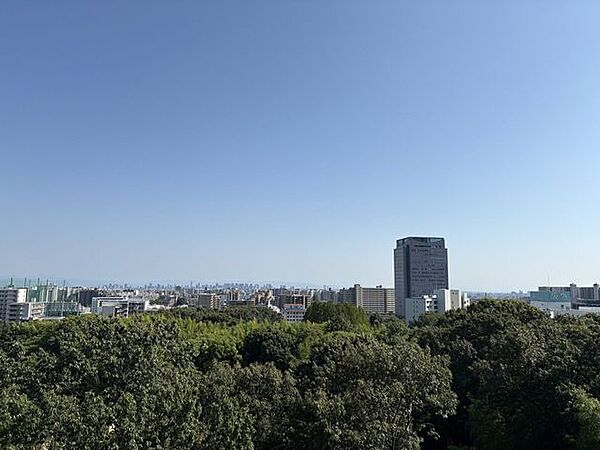大きく広がる青い空と前面に広がる深い緑のコントラストが美しい、自然豊かな景色が広がります。日々忙しさに追われる暮らしの中で、光と風を感じながらゆったりと伸びをしたくなるような眺望です。