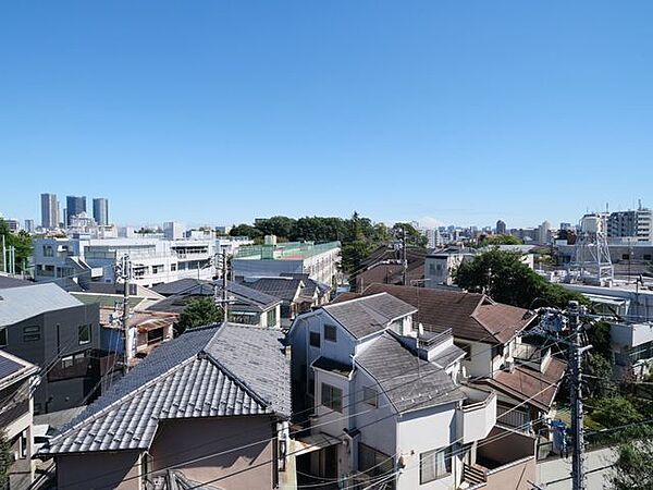 ルーフテラスからの眺望です。都心の刺激を間近にしつつ、めいっぱいリフレッシュできる大切な空間です。夏には花火も望めます。