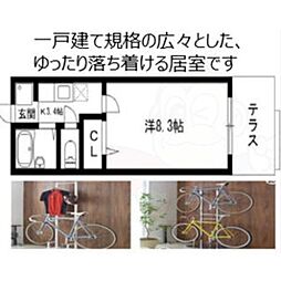 スプリングコートA棟 1階/-