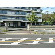 カーサ・ノア高峯町高峯３ 4階 築54年1ヶ月の賃貸物件