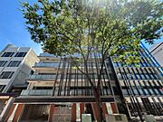 矢場町駅より徒歩10分 5階 築7年8ヶ月の賃貸物件