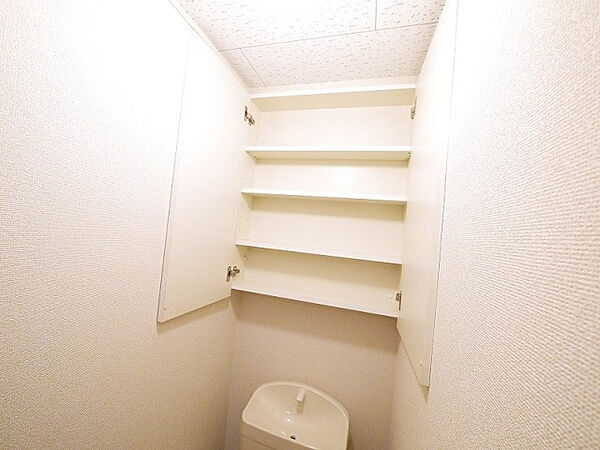 画像19:トイレの上には収納があります