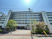 アプリークス百道浜 4階 築15年3ヶ月の賃貸物件