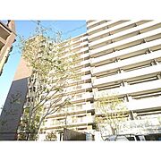 桜坂駅より徒歩3分 8階 築7年8ヶ月の賃貸物件