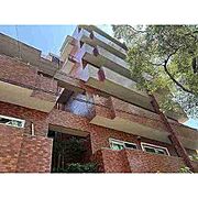 シャンボール香椎宮前 2階 築46年4ヶ月の賃貸物件