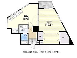 シャトー・ド・フェニックス 5階/-