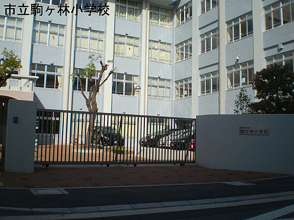 神戸市立駒ケ林小学校