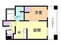 ラフィネタワー札幌南3条4階8.6万円