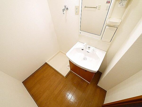 画像8:ゆったりとスペースのある洗面所