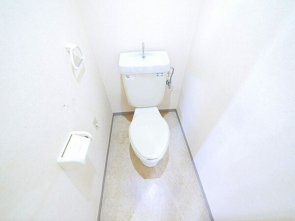 画像9:落ち着いたトイレです