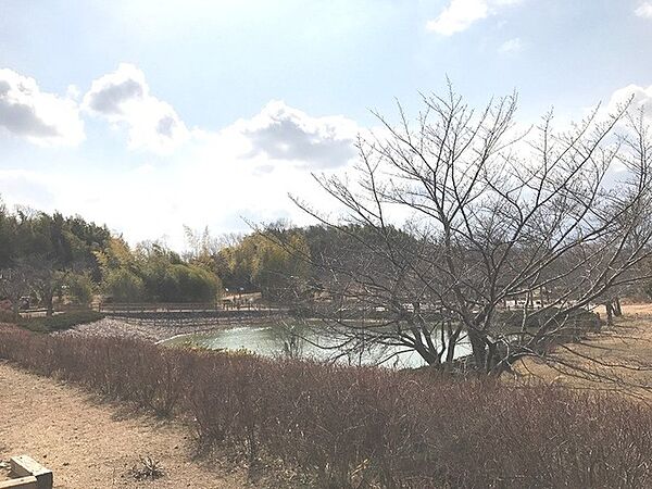 竹取公園