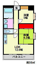 ラビータ高宮 4階