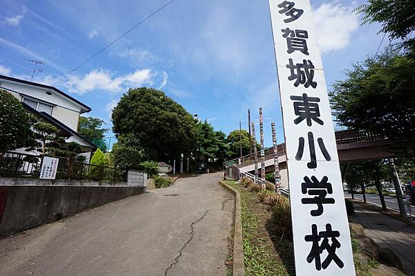 apartment 宮城県多賀城市中央3丁目
地図を見る