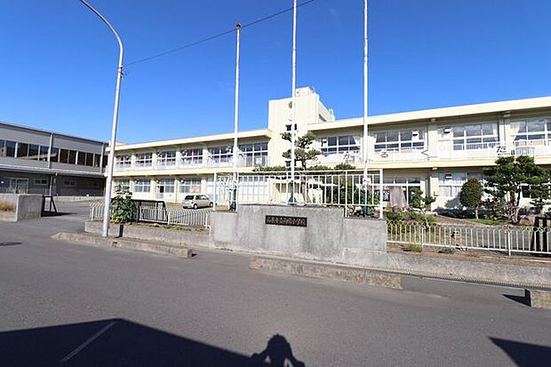 石巻市立向陽小学校 徒歩5分。 390m