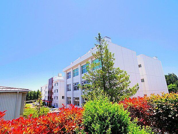 仙台市立将監東中学校 徒歩11分。 810m