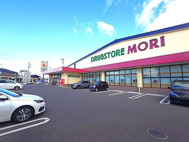 ドラッグストアモリ六郷店 徒歩11分。 870m