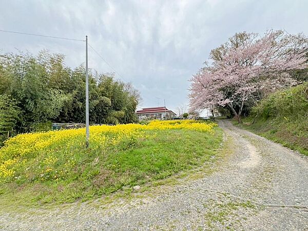 detached 宮城県遠田郡涌谷町小里字長根南