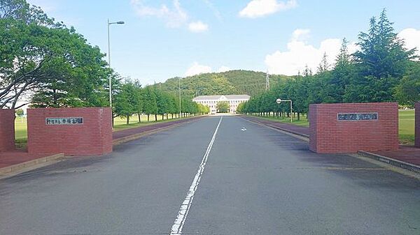 私立石巻専修大学 徒歩11分。 830m