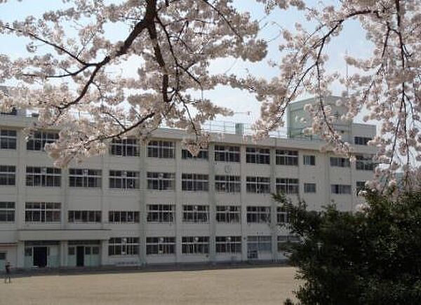 仙台市立鹿野小学校 徒歩13分。 1040m