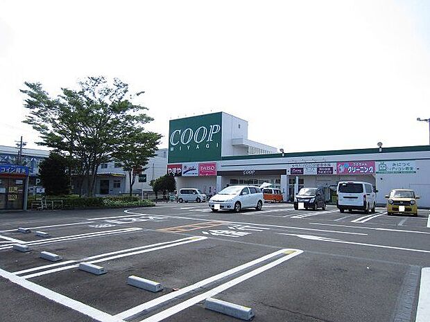 COOP MIYAGI岩沼店 徒歩11分。 850m