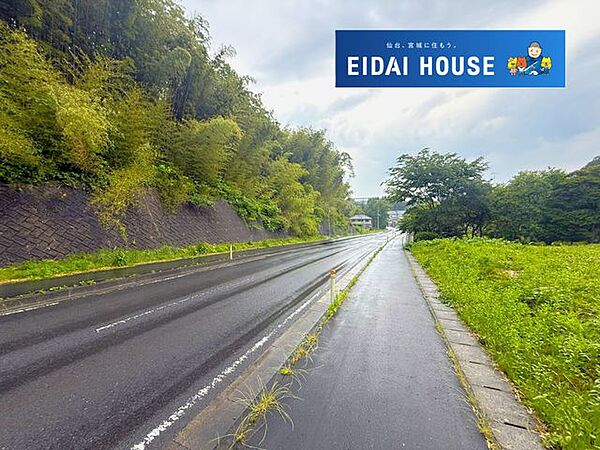 前面道路含む外観