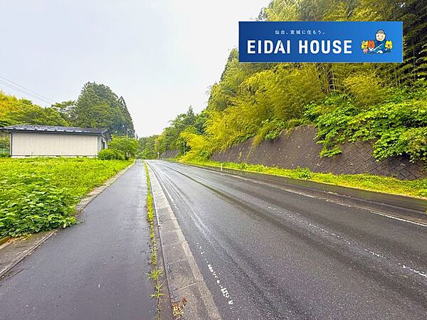 前面道路含む外観