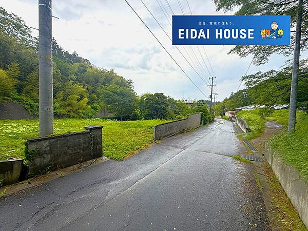 前面道路含む外観