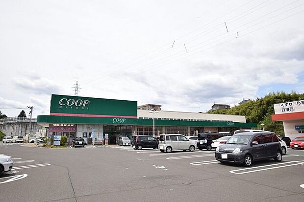 COOP　MIYAGI塩釜栄町店 徒歩19分。 1480m