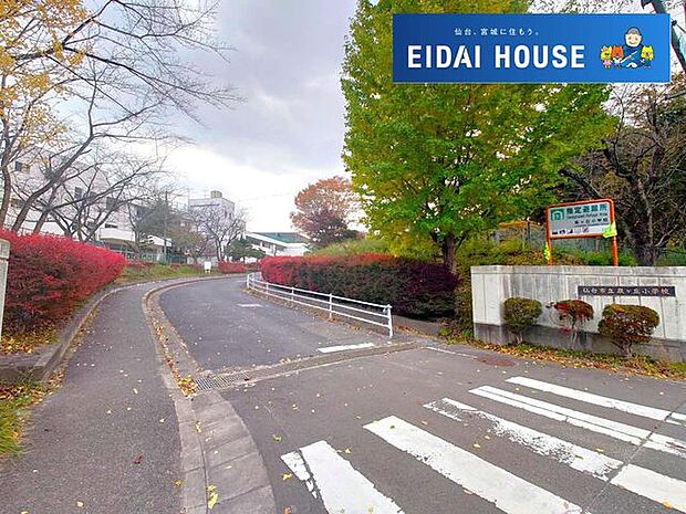 仙台市立泉ケ丘小学校 徒歩14分。 1050m