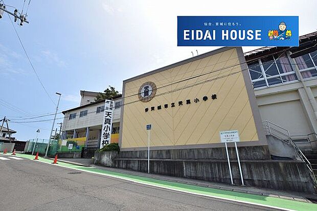 多賀城市立天真小学校 徒歩13分。 1132m