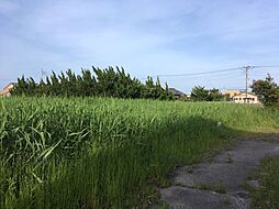 千葉県山武郡九十九里町片貝