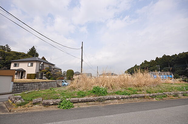 現地写真