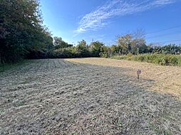 千葉県東金市家徳