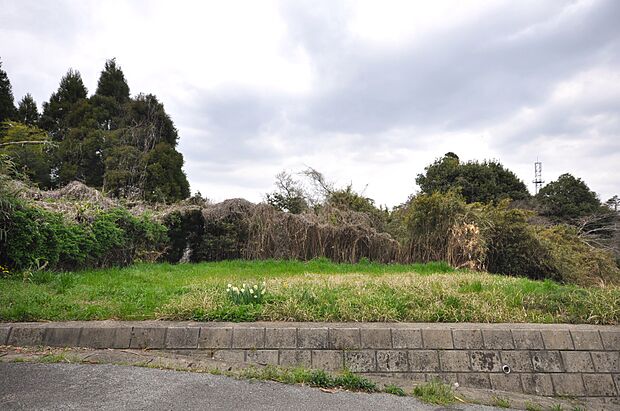 現地写真