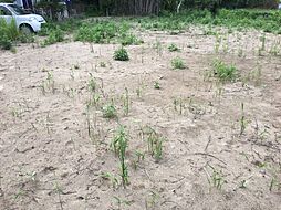 千葉県大網白里市柳橋