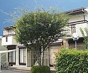 シティハイム桂 2階 築34年1ヶ月の賃貸物件