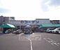 周辺：ホームセンターコーナン かどの四条外大前店まで1077m 大通り沿いにあり、屋上ガレージもあるのでとめやすいですよ