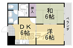 ドルフィンII 1階/-