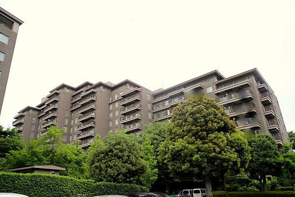外観：313004545374