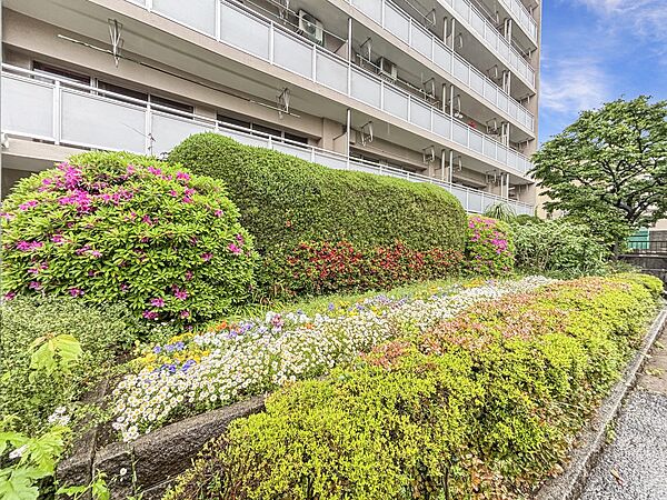 マンションの敷地内には、植栽が施されております♪