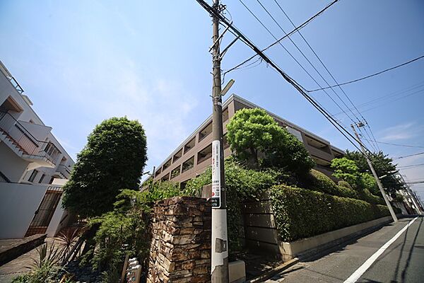 外観：313004328402