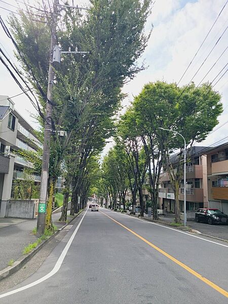 歩道付きの北側公道15．9Ｍに面す整形地です♪
