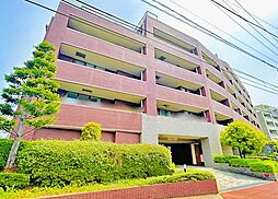 サンヴェール市が尾の丘