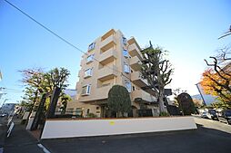 豊栄アンバサダー調布