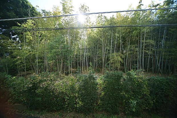 バルコニーからの眺望です! 陽当り眺望良好となっております♪