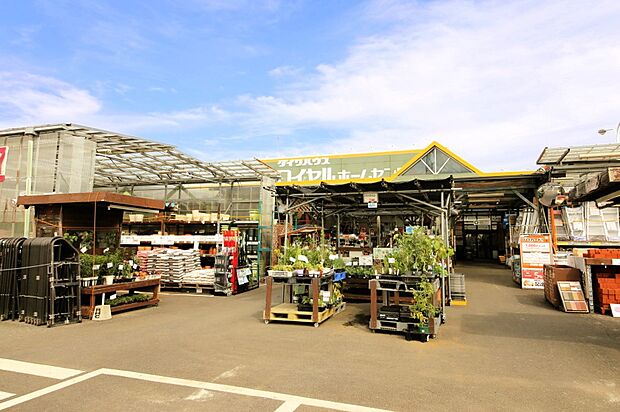 ホームセンター 1100m ロイヤルホームセンター梶ヶ谷