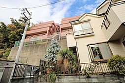 セザール第2綱島