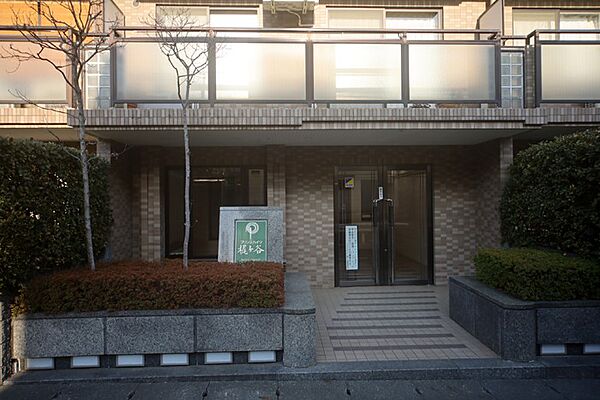 植え込みなどの有る、共用スペースとなっております♪