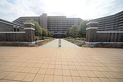 ユニヴェルシオール学園の丘